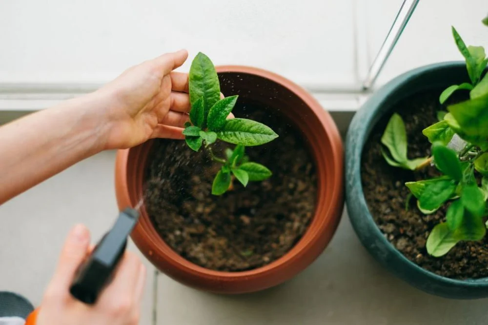 Phong thủy phòng bếp 10