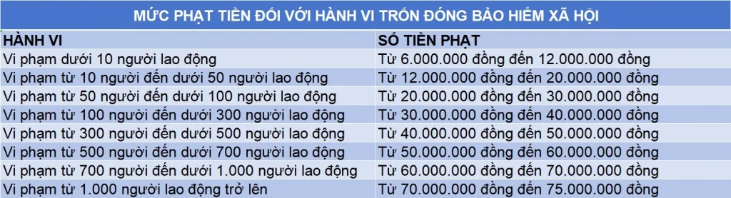Quy định xử phạt doanh nghiệp nợ, trốn đóng BHXH mới nhất (ảnh 2)