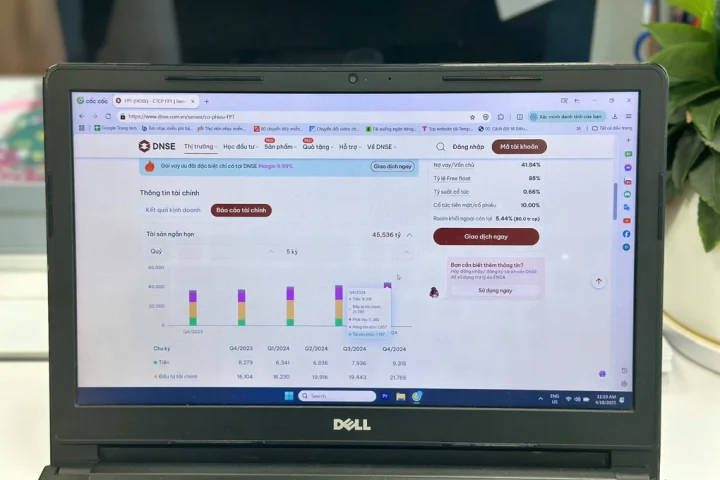 DNSE tổng hợp và phân tích báo cáo tài chính ngay trên trang web và app Entrade X by DNSE. Ảnh: Minh Ngọc
