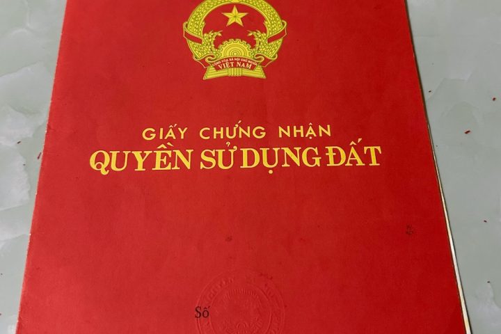 W-so do vietnamnet 2.jpg